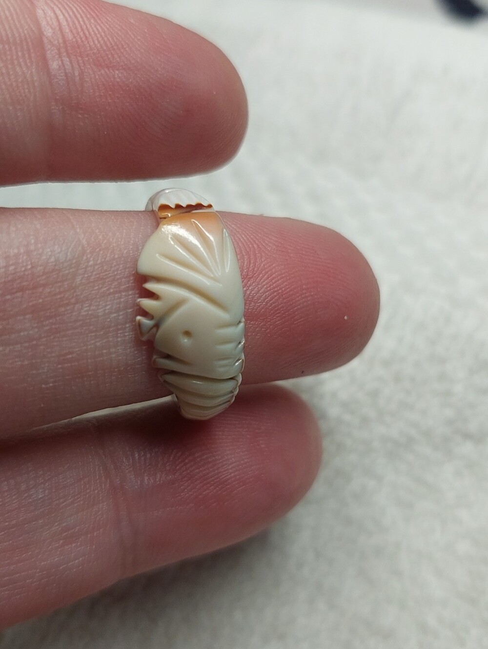 Carved Shell Cream Band Ring - Women Jewelry